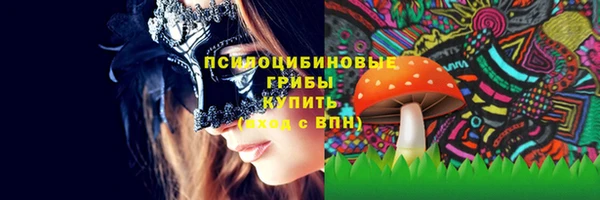 PSILOCYBIN Заволжск