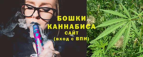 PSILOCYBIN Заволжск